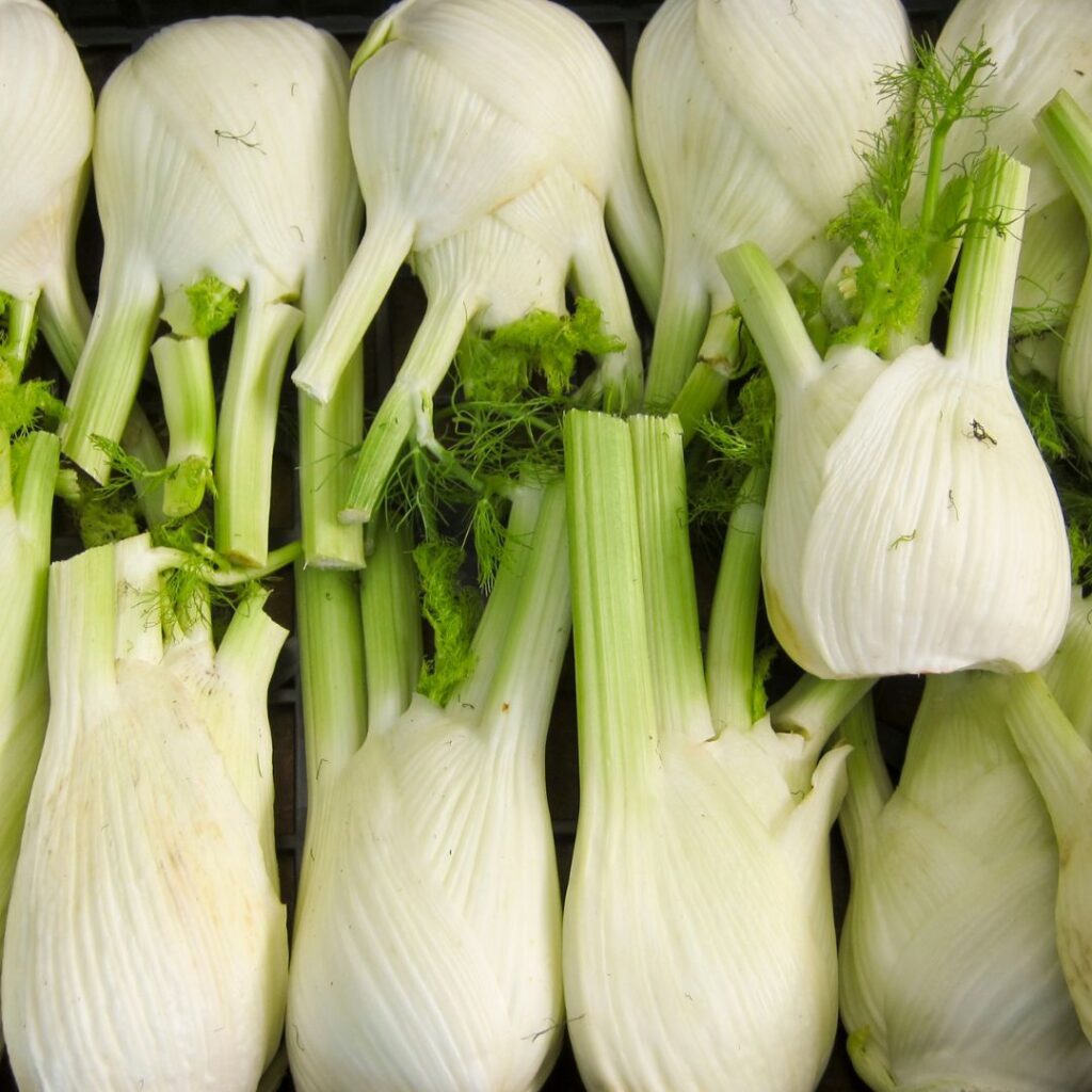 complément alimentaire fenouil NHCO