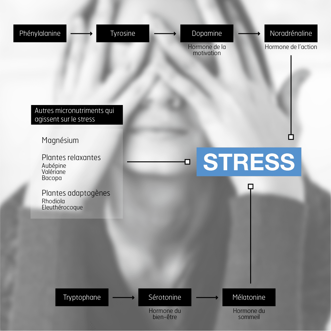 nhco micronutriments anti stress
