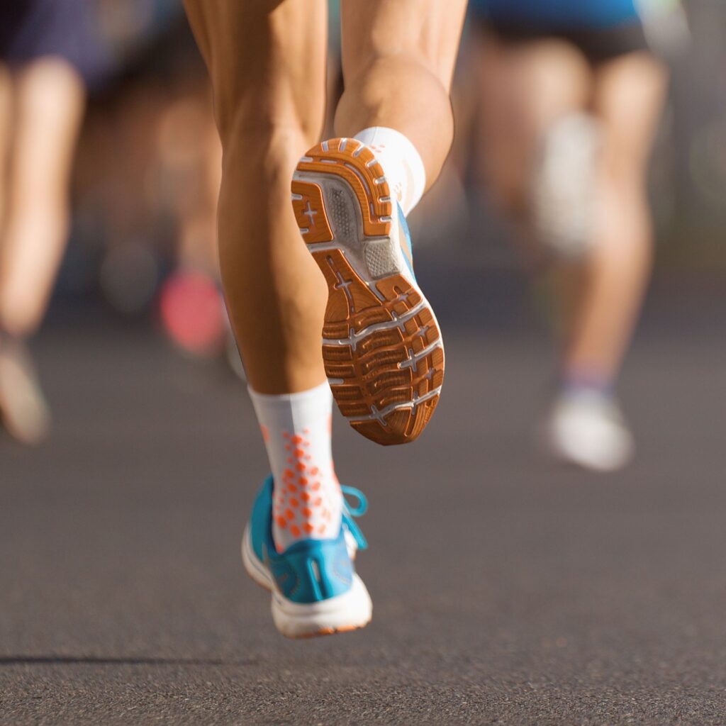 programme NHCO course, trail, marathon
